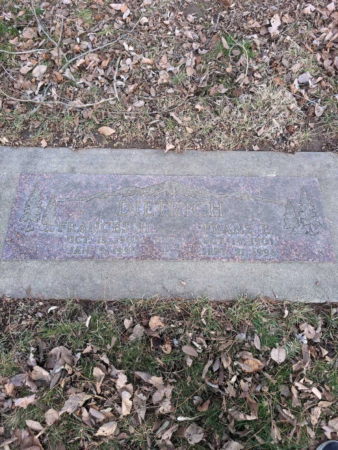 Franz E. Dietrich's grave. Photo 3