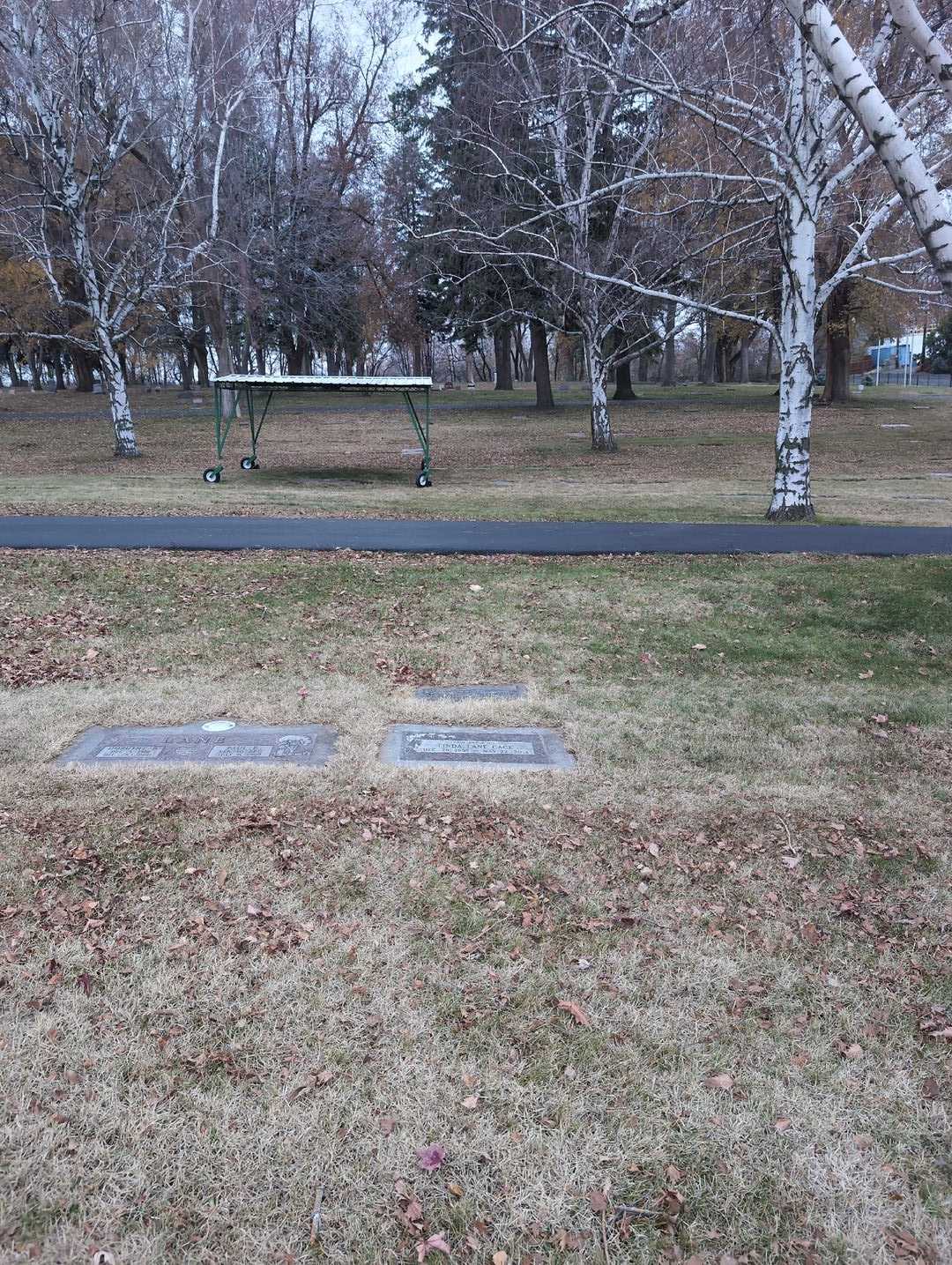 Linda Lane Gage's grave. Photo 4