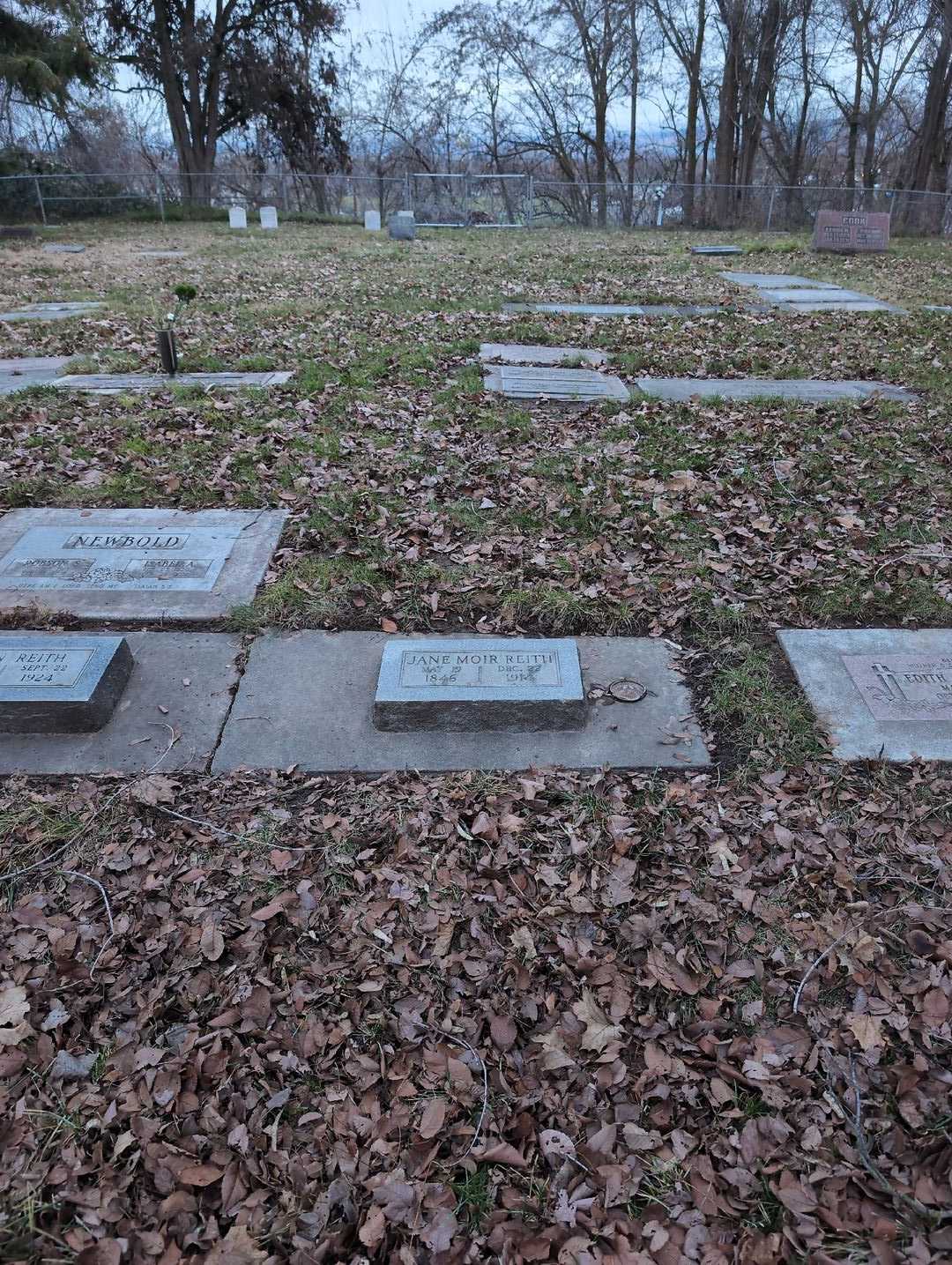 Carl Paul Ackerman's grave. Photo 2