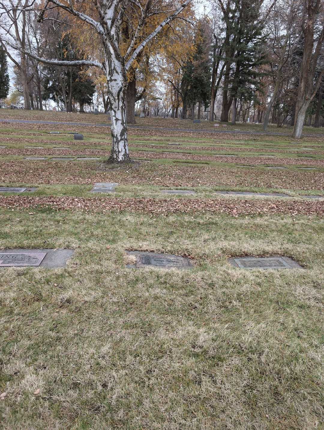 Robyn Bateman's grave. Photo 2