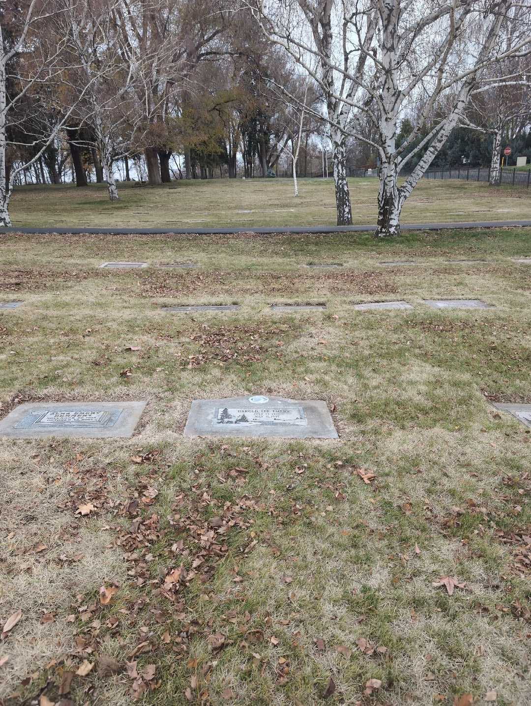 Leslie Hoyt's grave. Photo 2