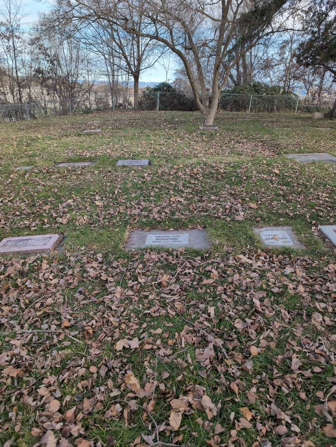Virginia Cox Bradford's grave. Photo 2