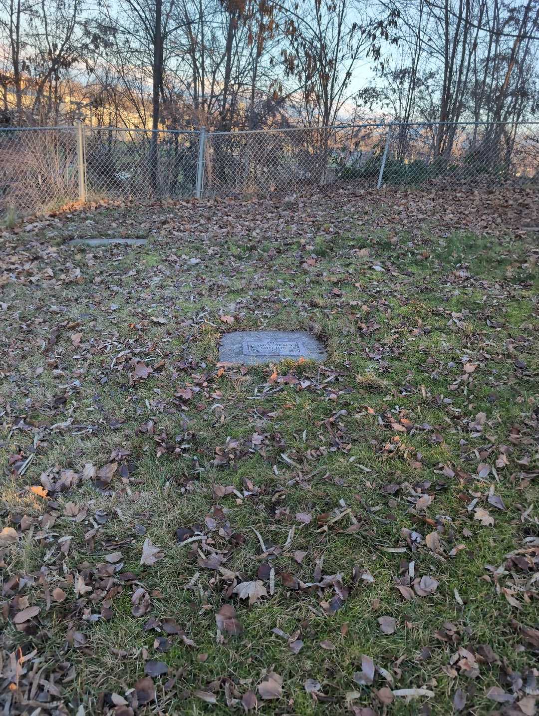 James Tracy Shelton's grave. Photo 2