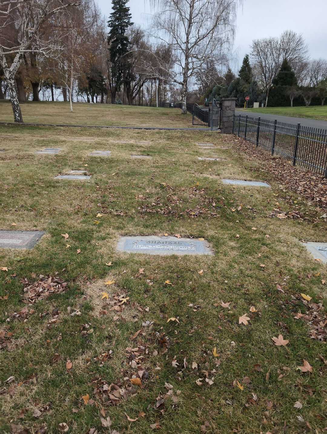 Stewart W. Shankel's grave. Photo 2
