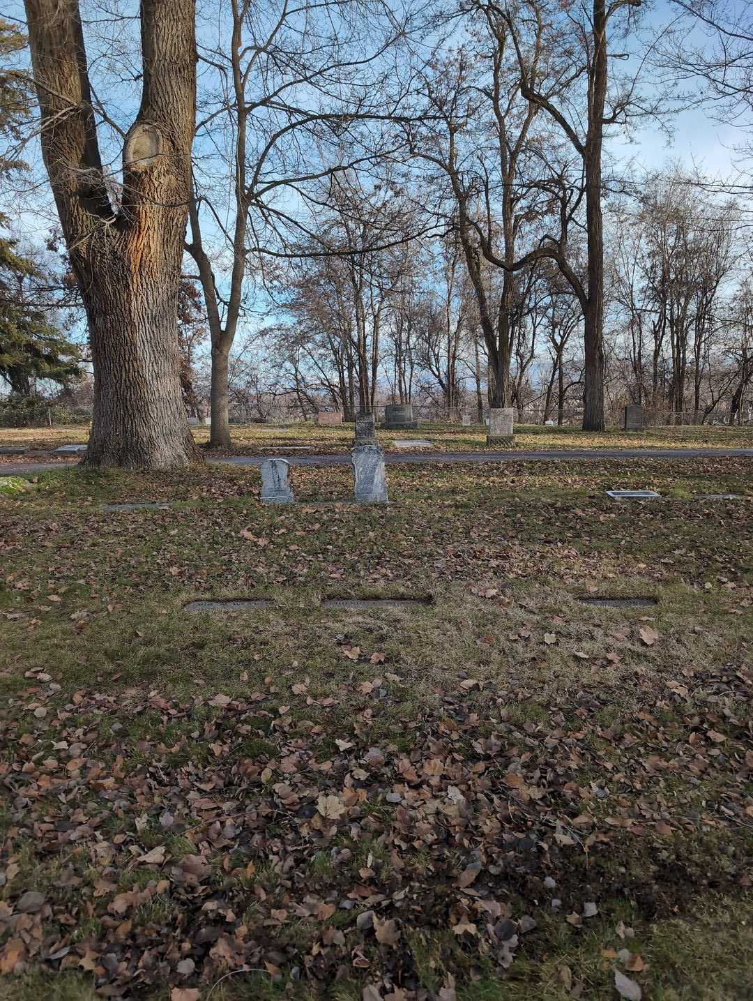 Phillip L. Weaver's grave. Photo 2