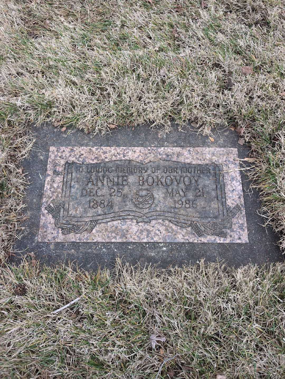 Annie Bokovoy's grave. Photo 3