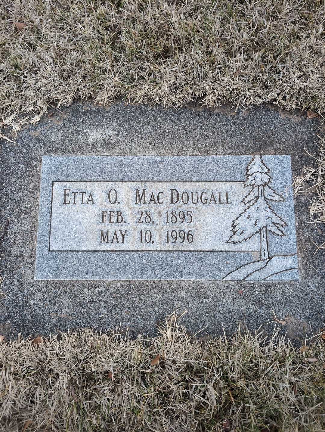 Etta O. Mac Dougall's grave. Photo 3