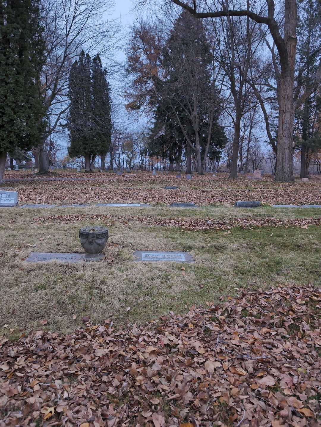 Dulcie Madge Oliver's grave. Photo 2