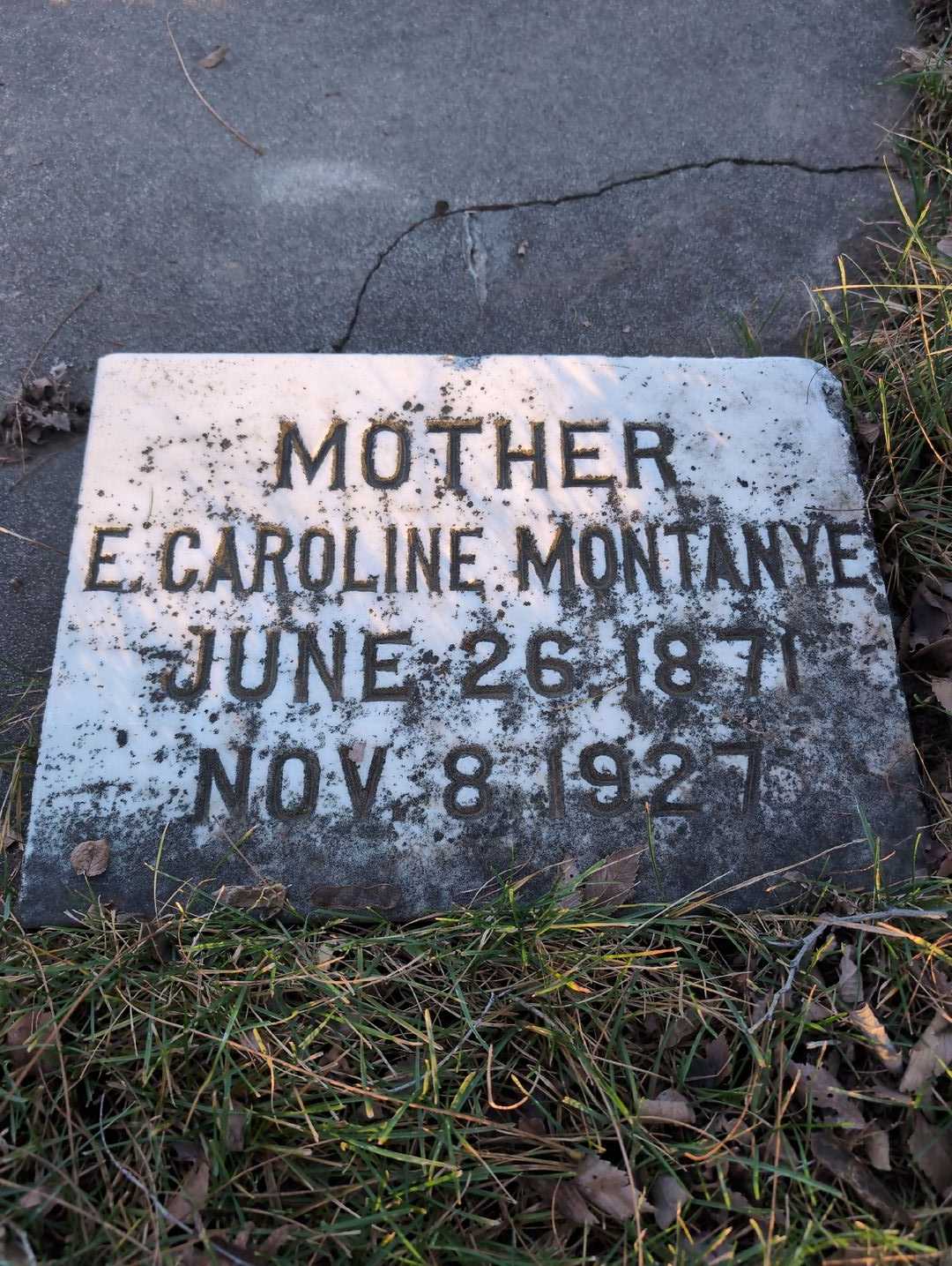 Elizabeth Caroline Montanye's grave. Photo 3