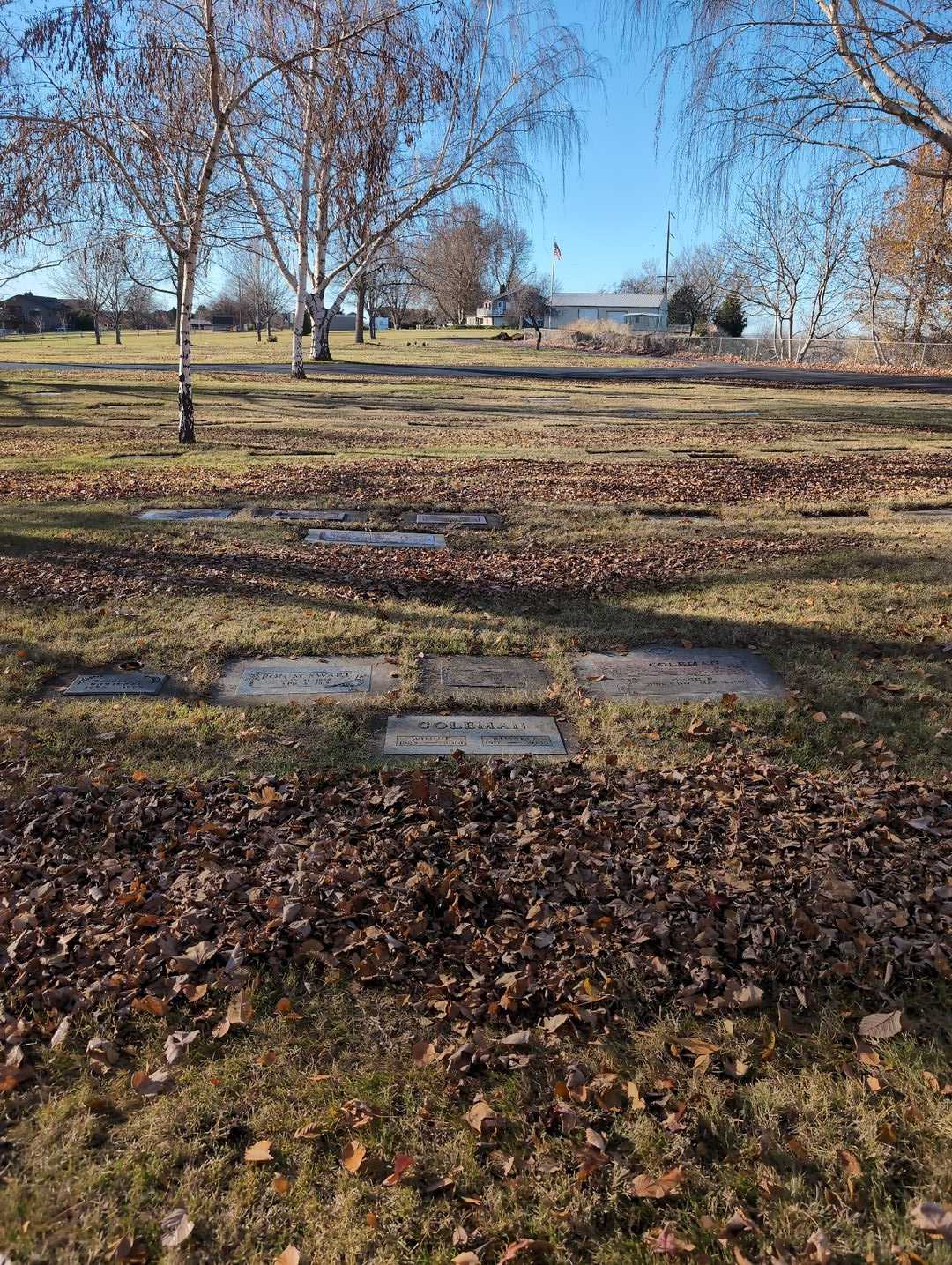 Winnifred "Winnie" Coleman's grave. Photo 4