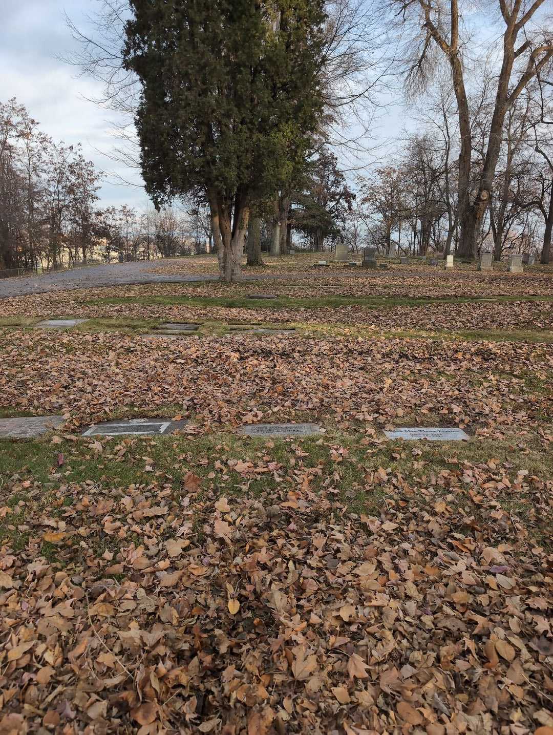 Sylvia E. James Hallock's grave. Photo 2