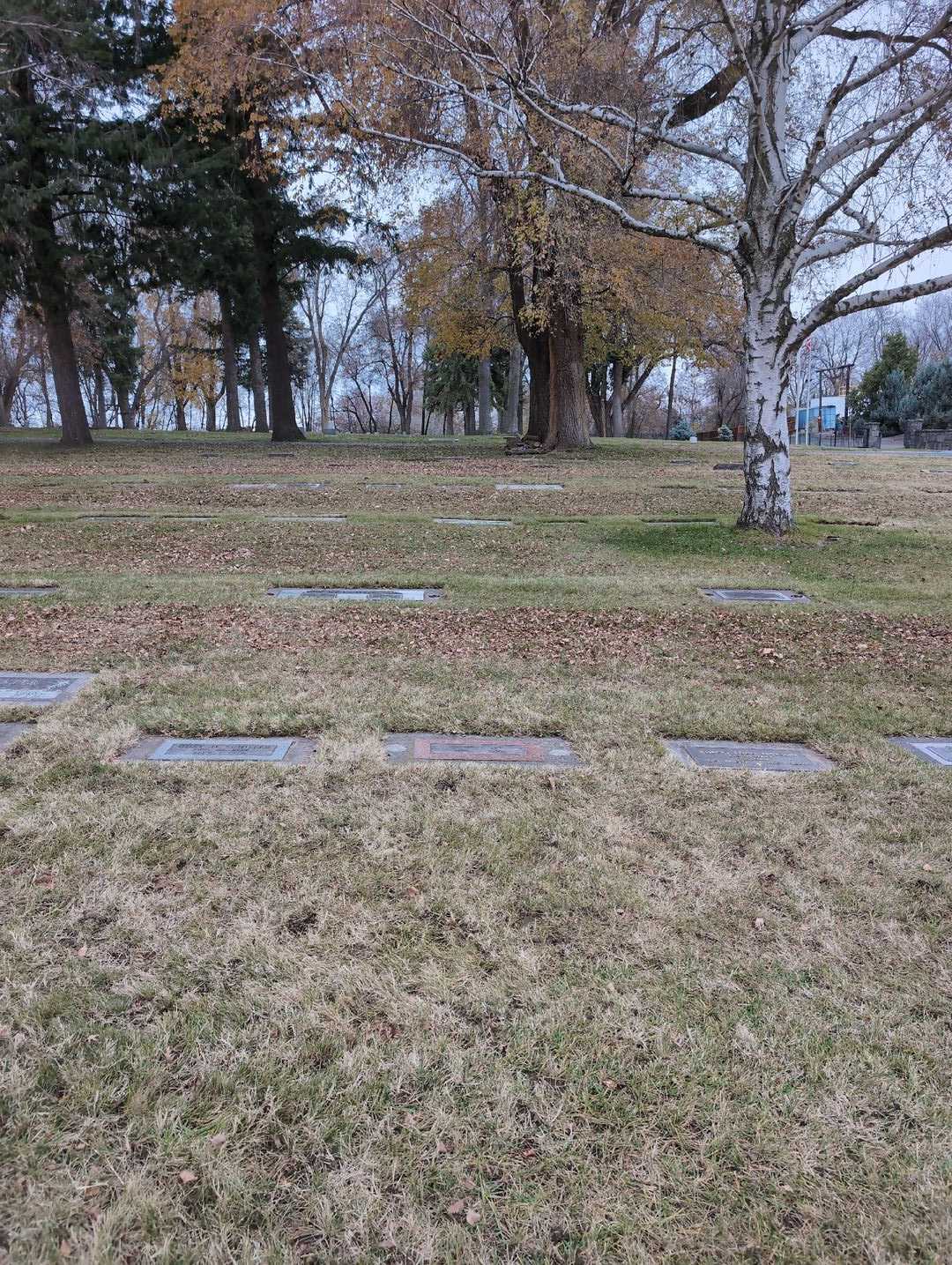 Lydia Florence Lee's grave. Photo 2