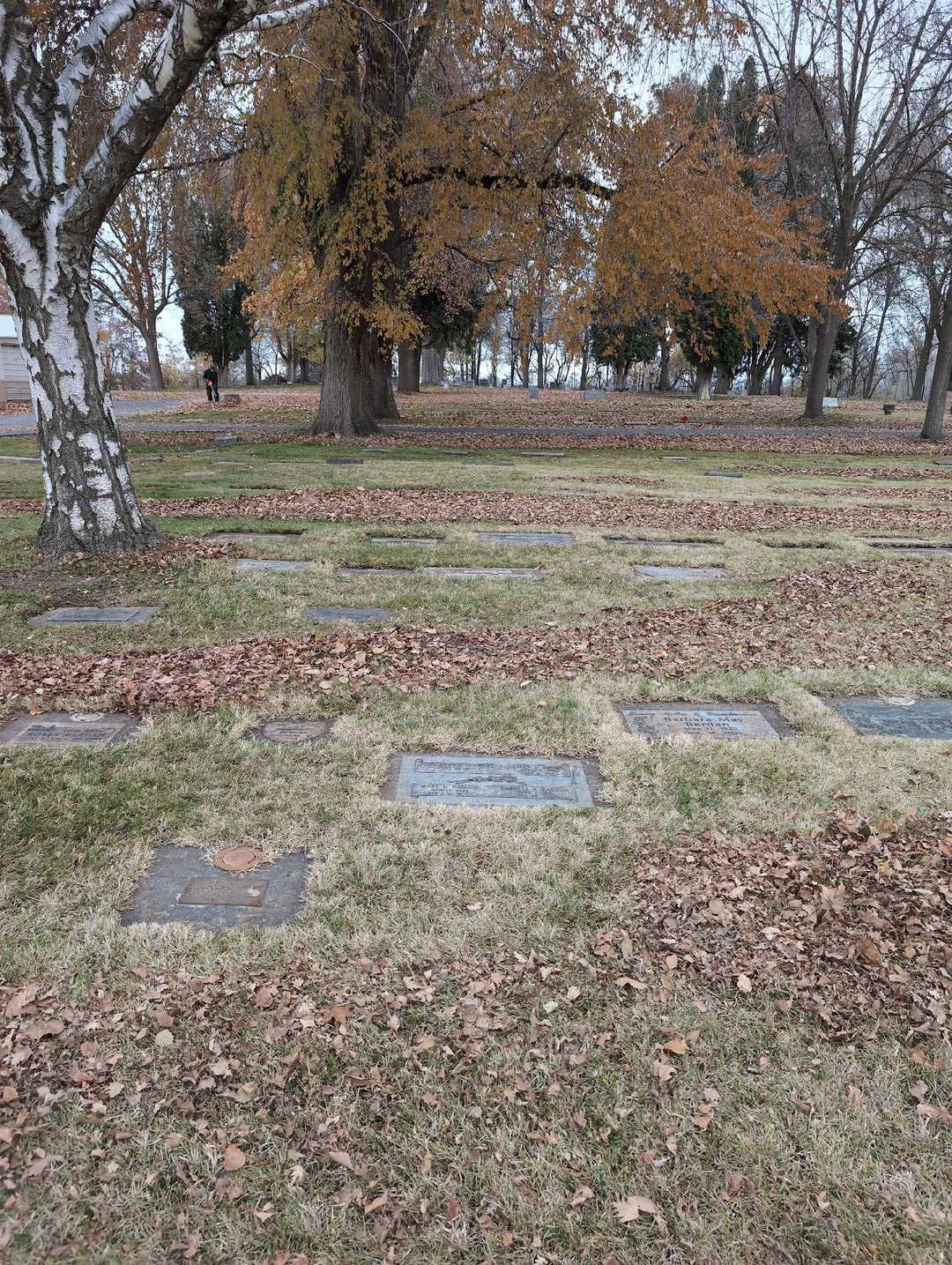 Doctor Gilbert Tunco's grave. Photo 4