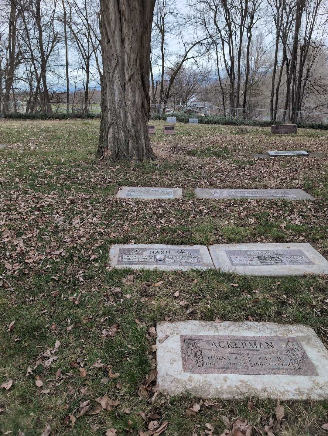 Eldena A. Ackerman's grave. Photo 4
