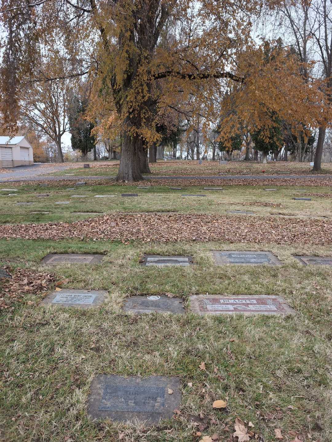 Phillip LeRoy Stiles's grave. Photo 2