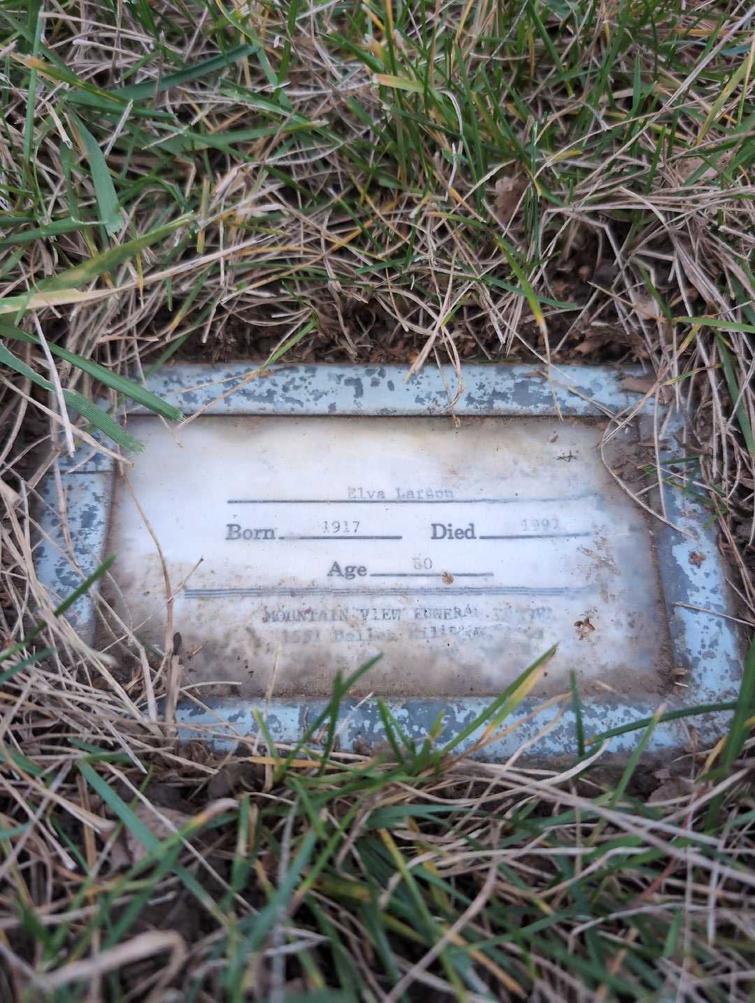 Eldon F. Adamson's grave. Photo 1
