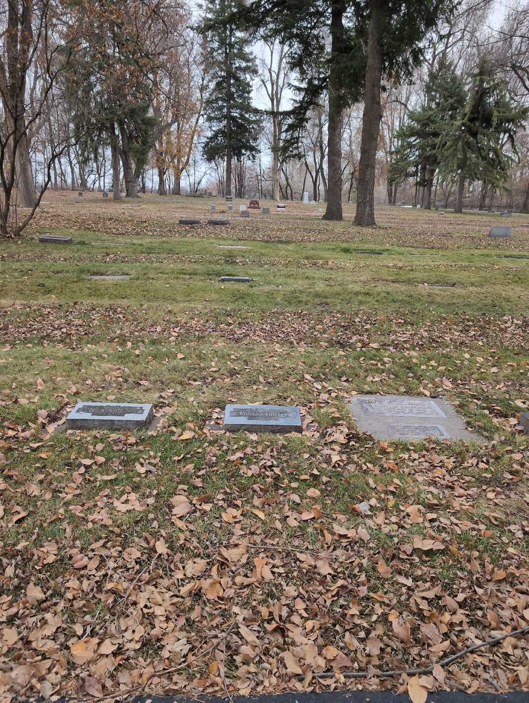 Katherine Hiebert's grave. Photo 2