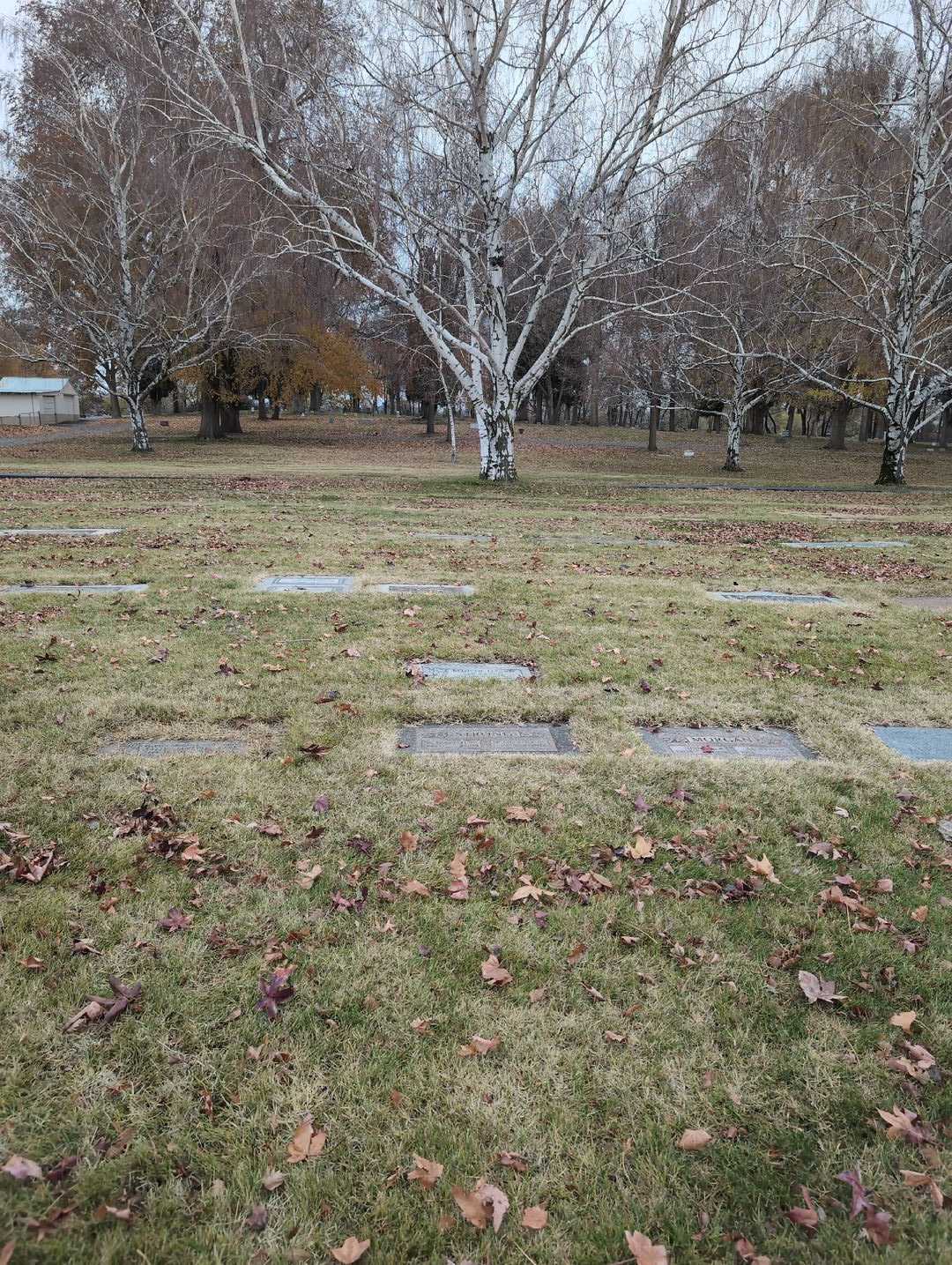 Leland Wade's grave. Photo 2