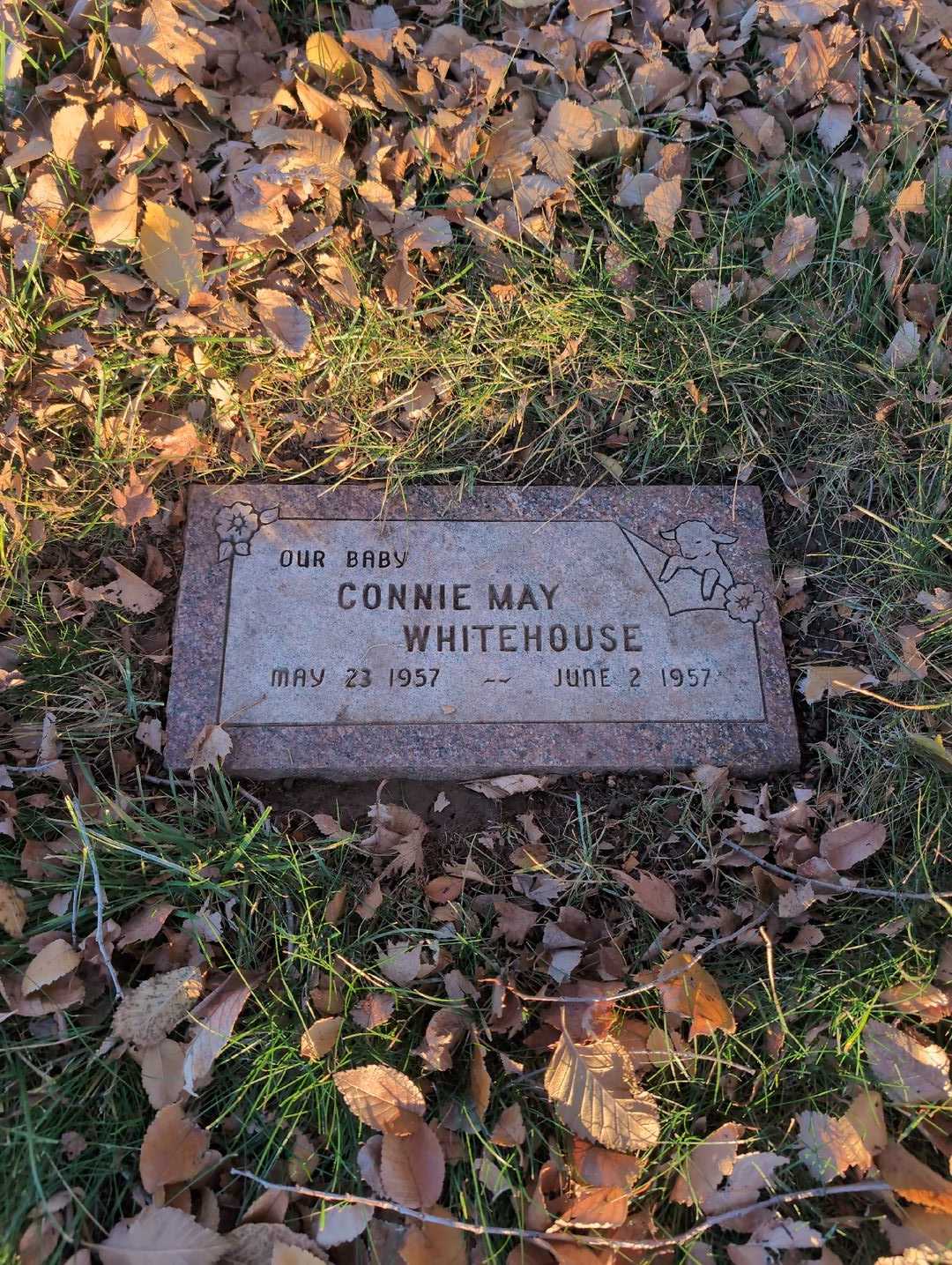 Connie May Whitehouse's grave. Photo 3