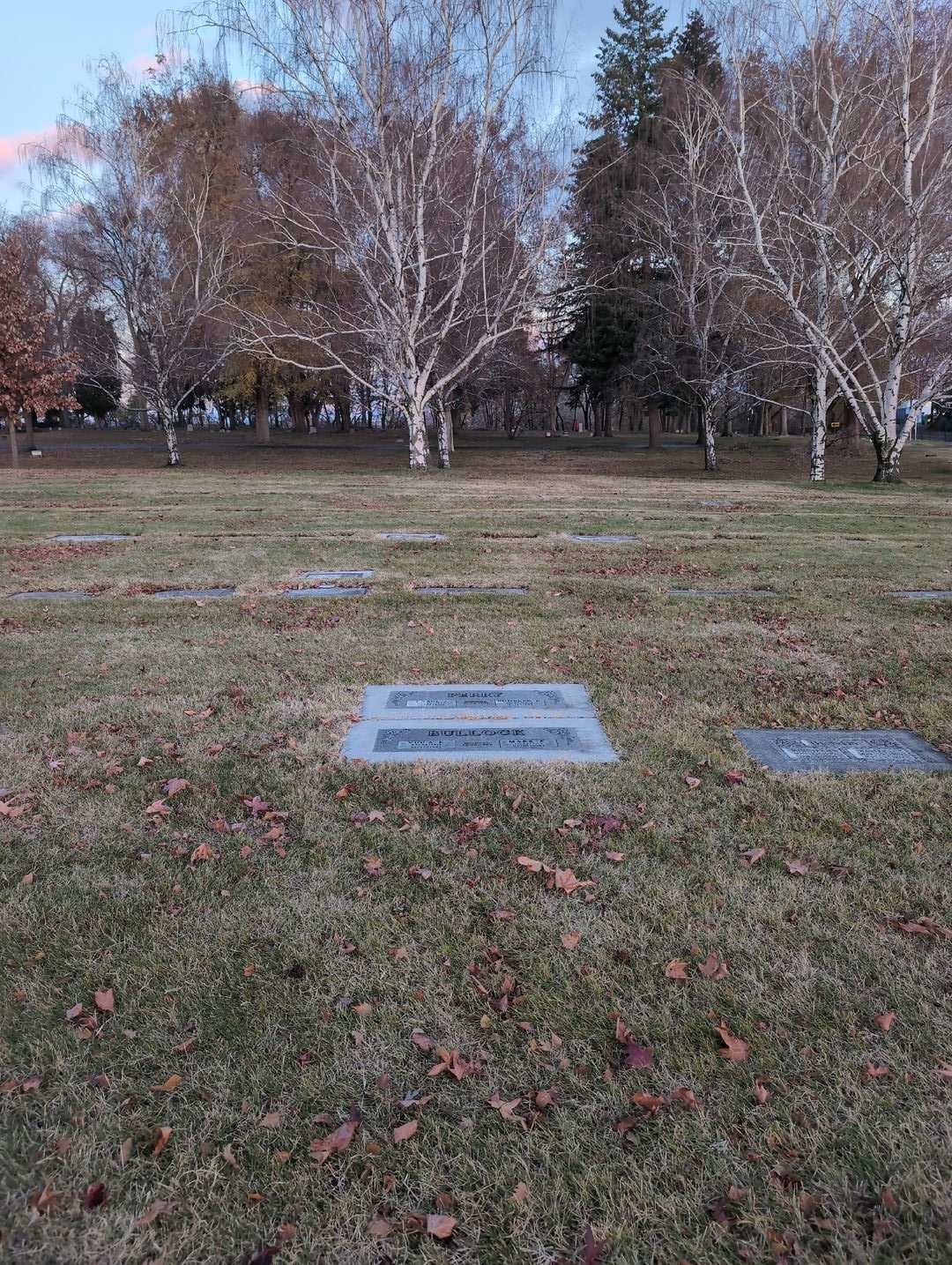 Viola Effie Bullock's grave. Photo 3
