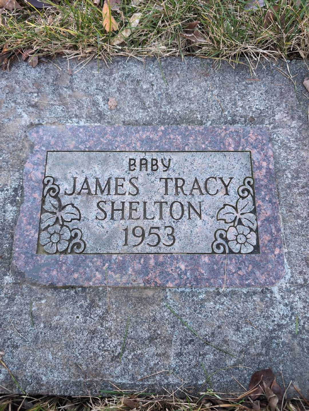 James Tracy Shelton's grave. Photo 3