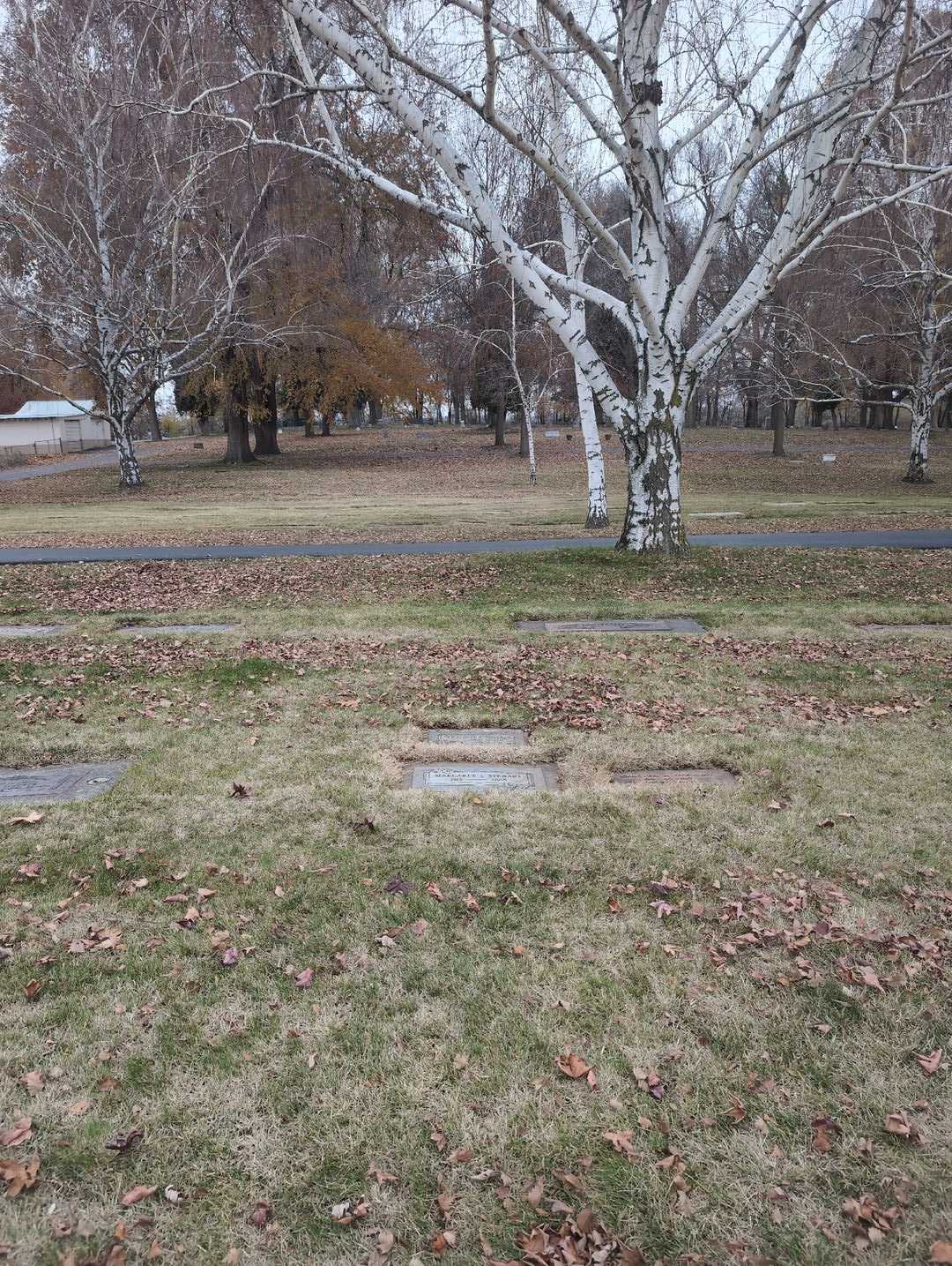 Geraldine L. Poulsen's grave. Photo 2