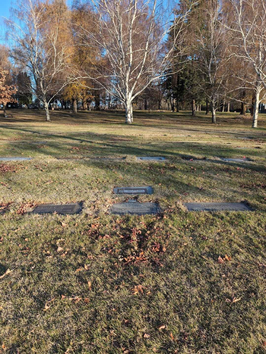 Stella Mae Rose's grave. Photo 3