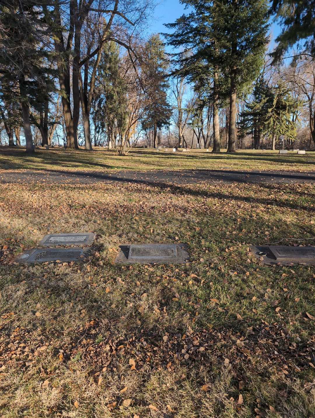 Alonzo Conrad Daniel's grave. Photo 2