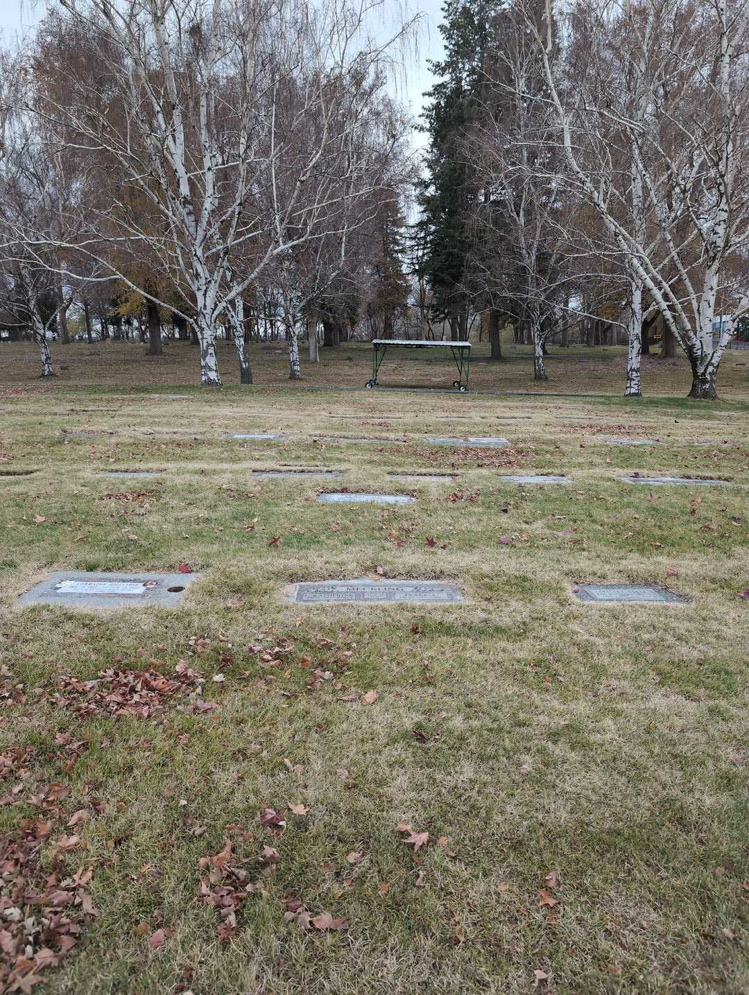 Walter J. Albrecht's grave. Photo 2