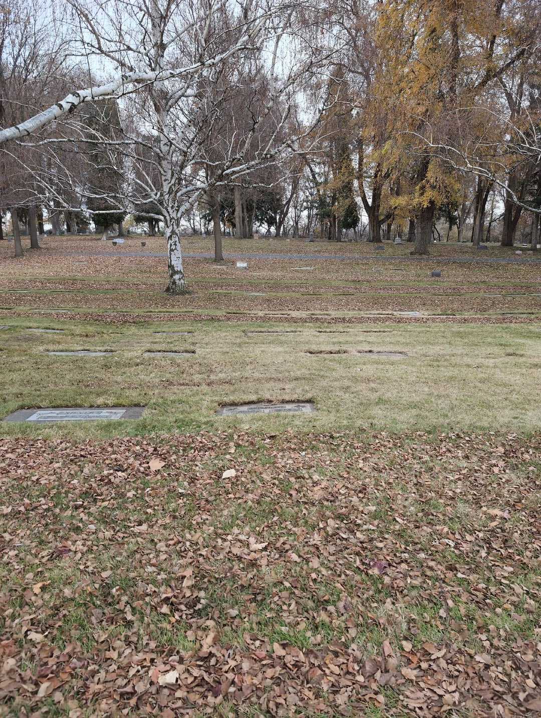 Leland Quinn's grave. Photo 2