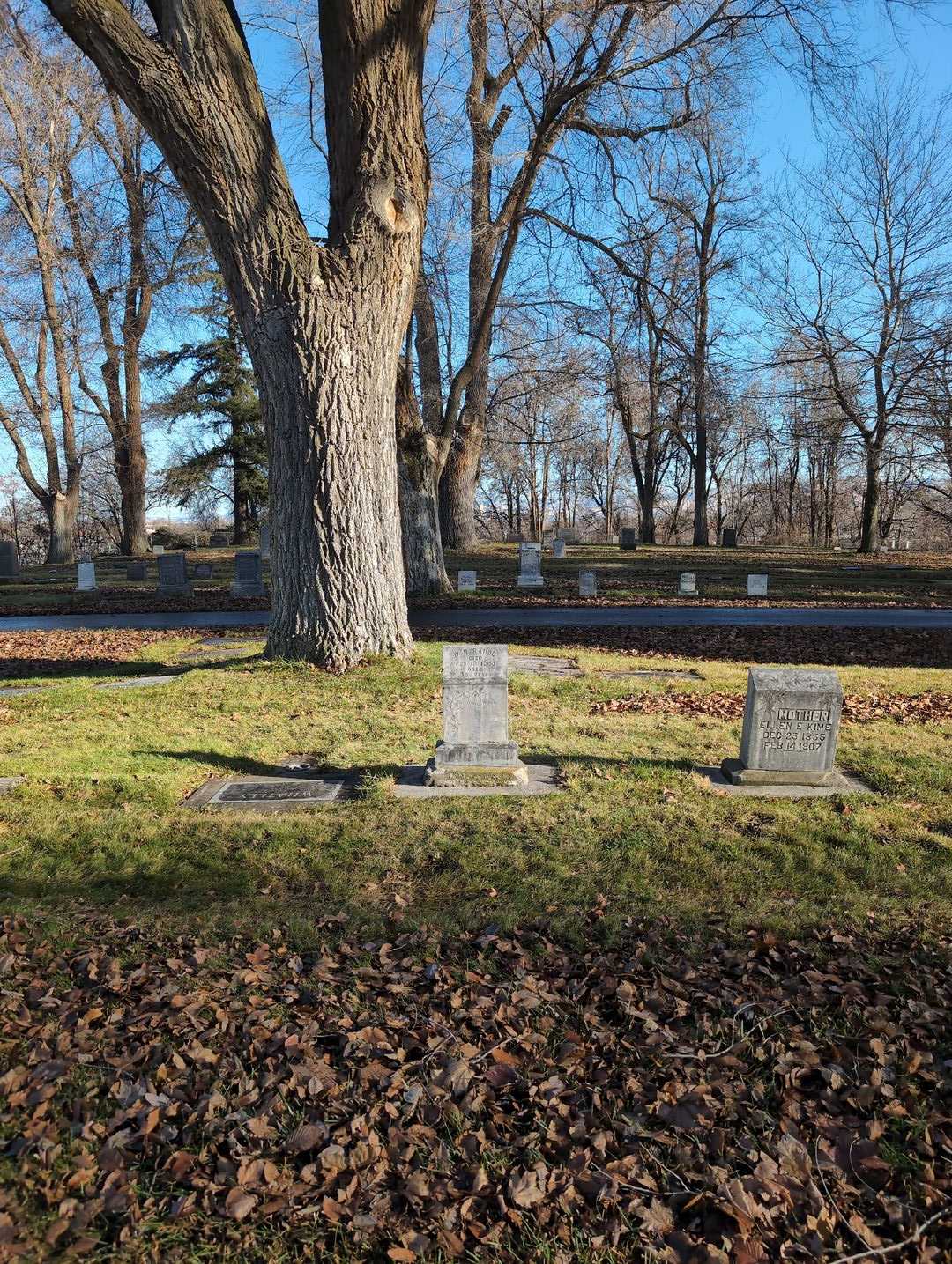 W. H. Rambo's grave. Photo 2