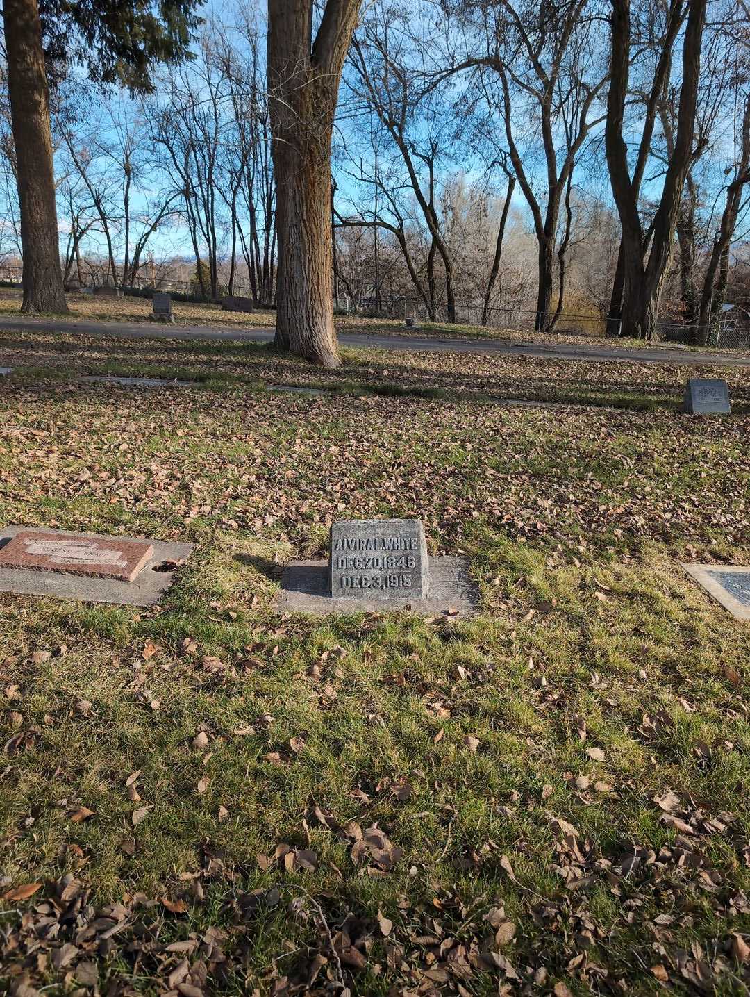 Alvira L. White's grave. Photo 2