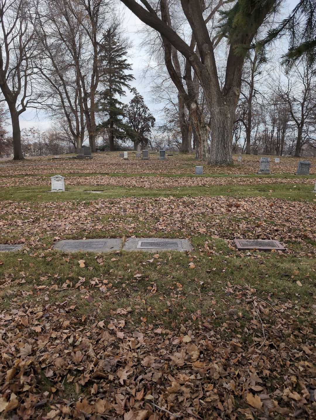 Coy Oscar Fewell's grave. Photo 2