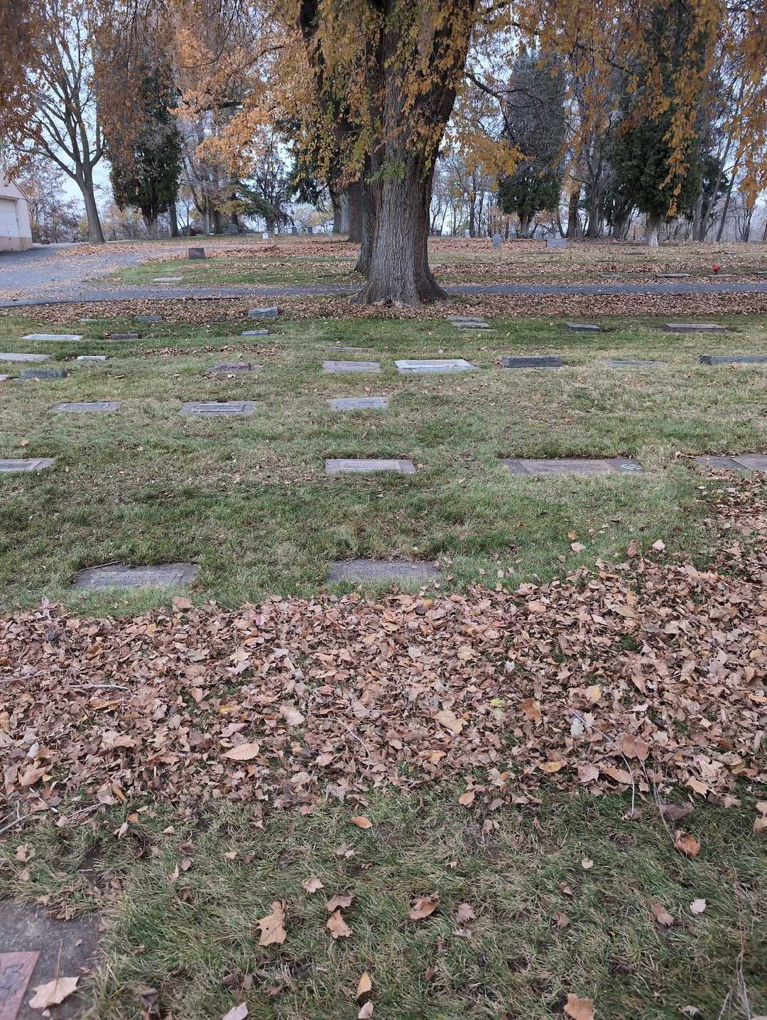Julia Craig's grave. Photo 2