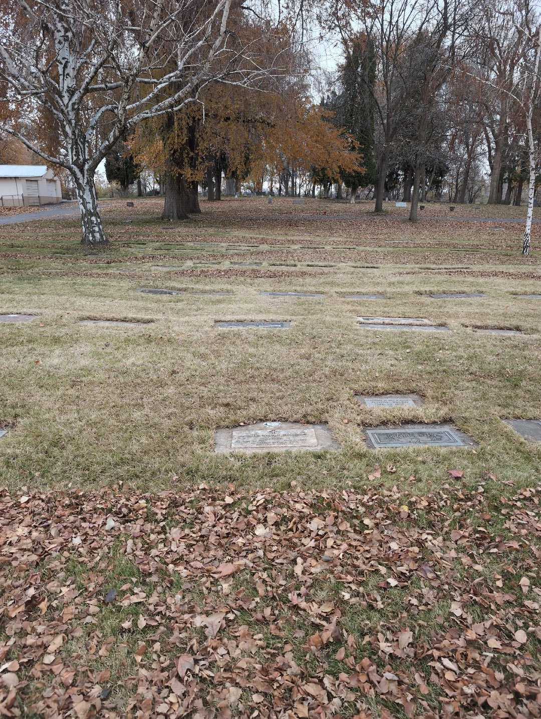 Donald Nelson MacIvor's grave. Photo 2