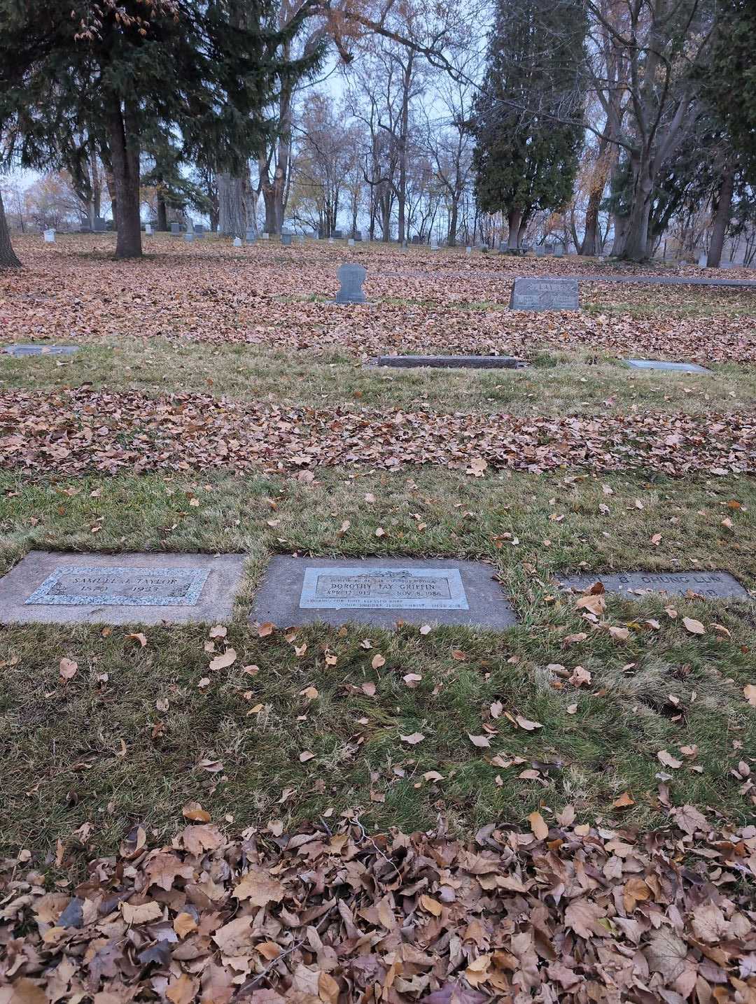 Dorothy Fay Griffin's grave. Photo 2