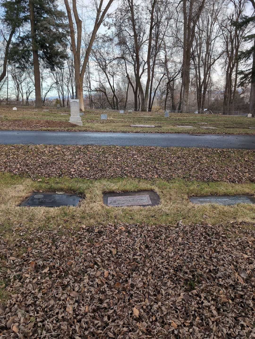Josephine Cunnington Edwards's grave. Photo 2