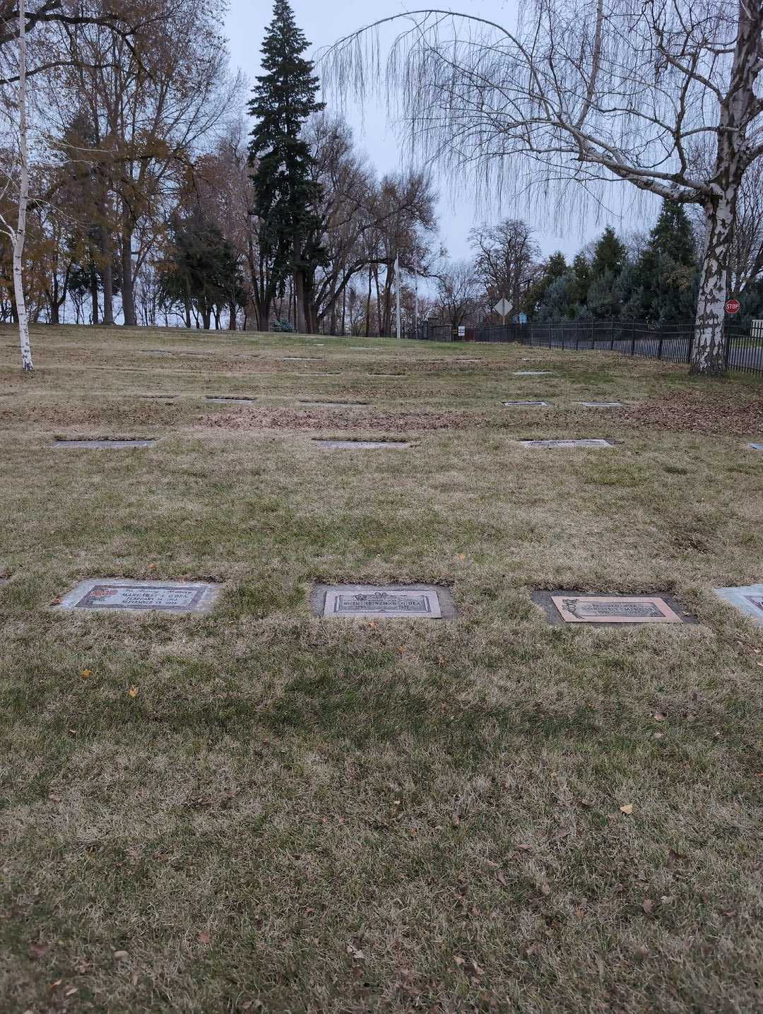 Ruth Heinzman-O'Dea's grave. Photo 2