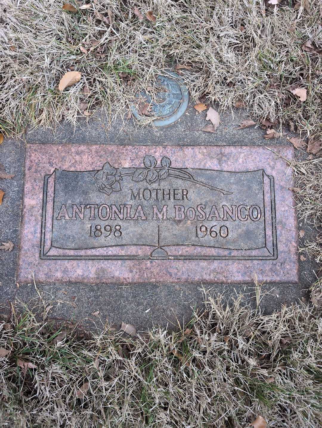 Marla Lee Rasmussen's grave. Photo 1