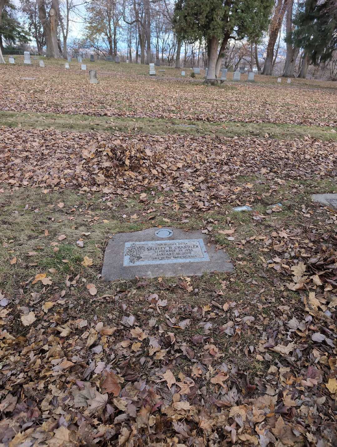 Shirley D. Chandler's grave. Photo 2