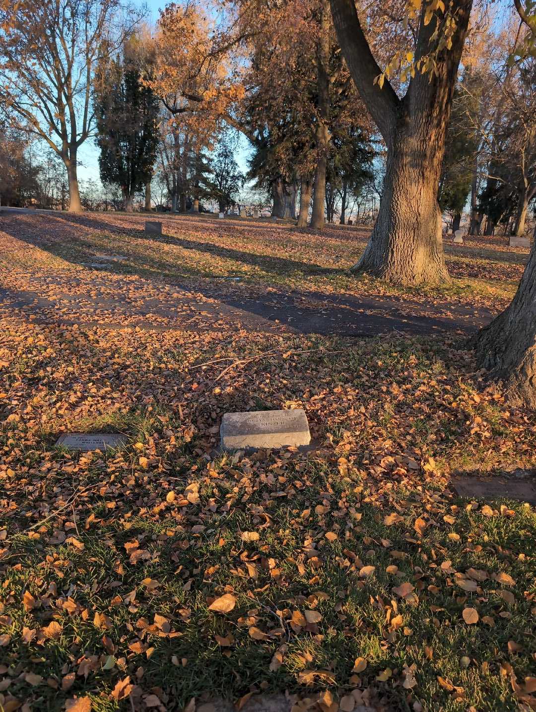 Joelyn Dennette Kinzer's grave. Photo 2