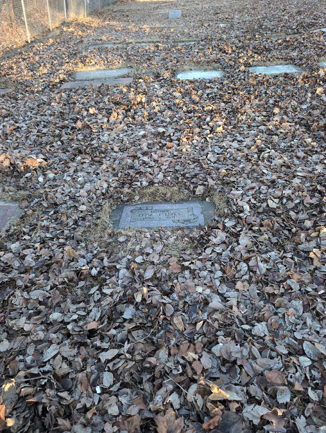 Effie Josephine Likes's grave. Photo 2