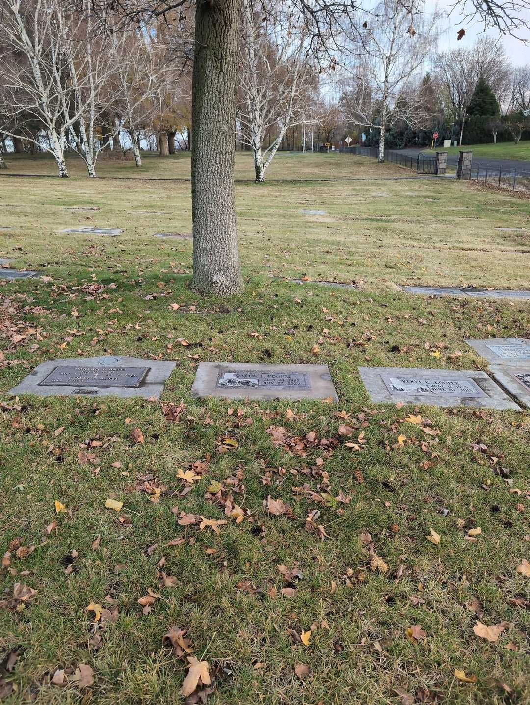 Carol L. Cooper's grave. Photo 2