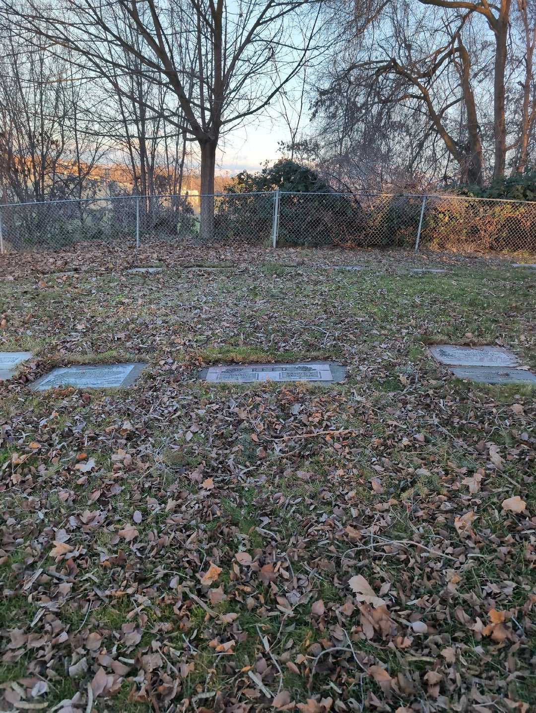 Nadine Reed's grave. Photo 2