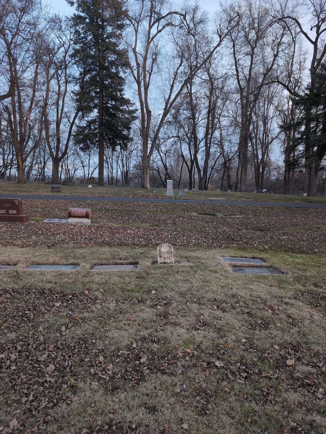 Marion Hoge's grave. Photo 2