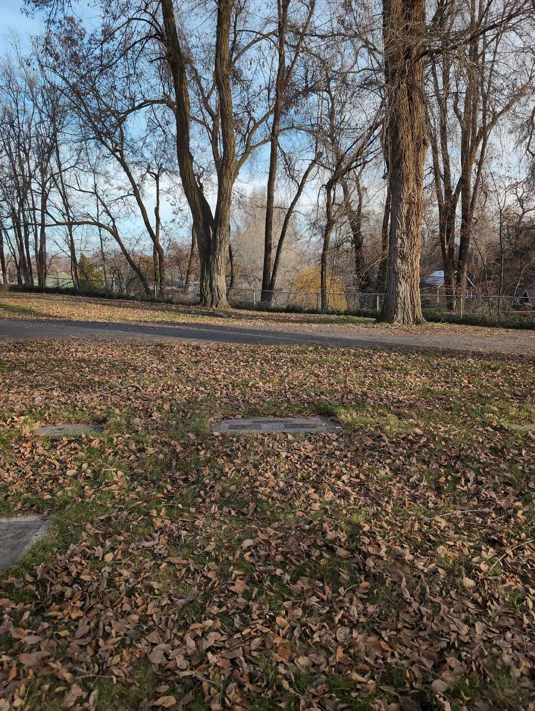 Aura M. Dennis's grave. Photo 2