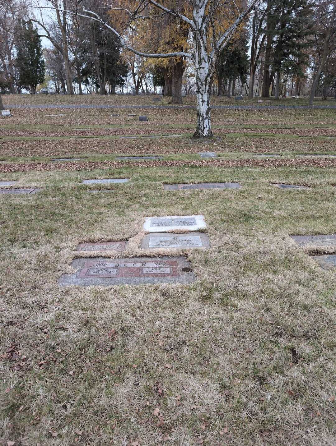 Robert F. Dixon's grave. Photo 5