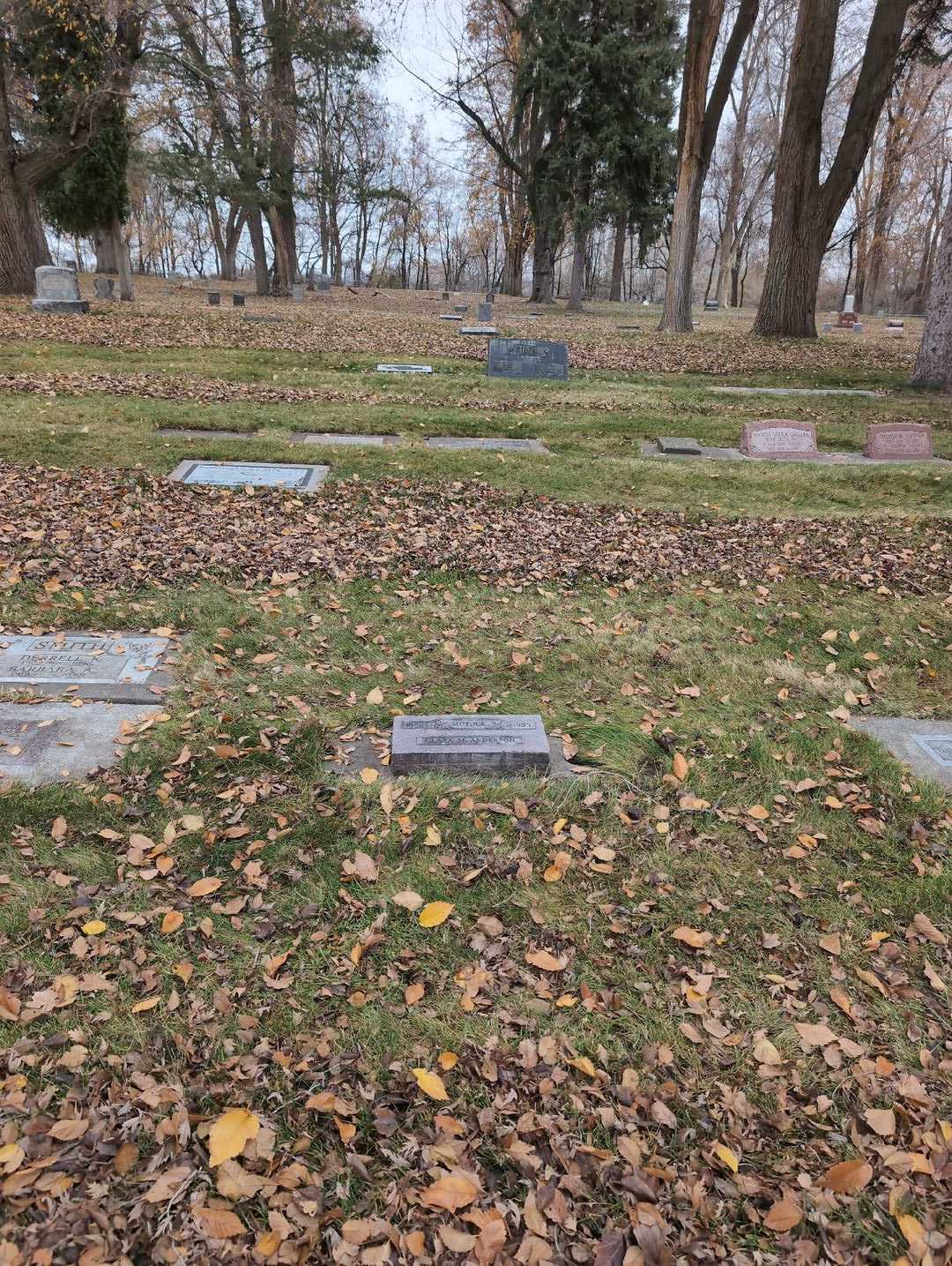 Clara May Anderson's grave. Photo 2