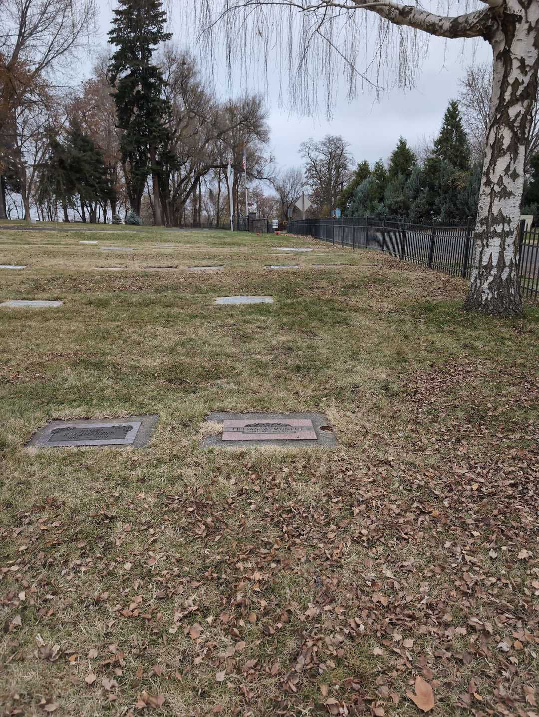 Colleen Nilsson's grave. Photo 2