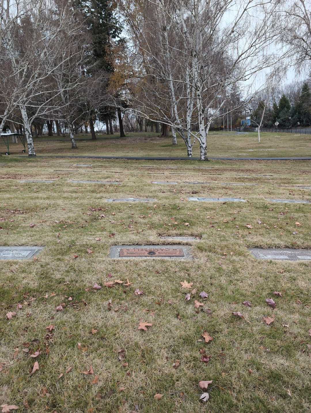 Joylin Campbell-Yukl's grave. Photo 4